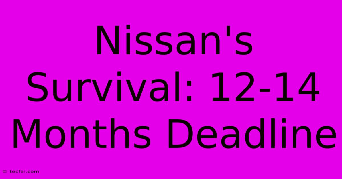 Nissan's Survival: 12-14 Months Deadline