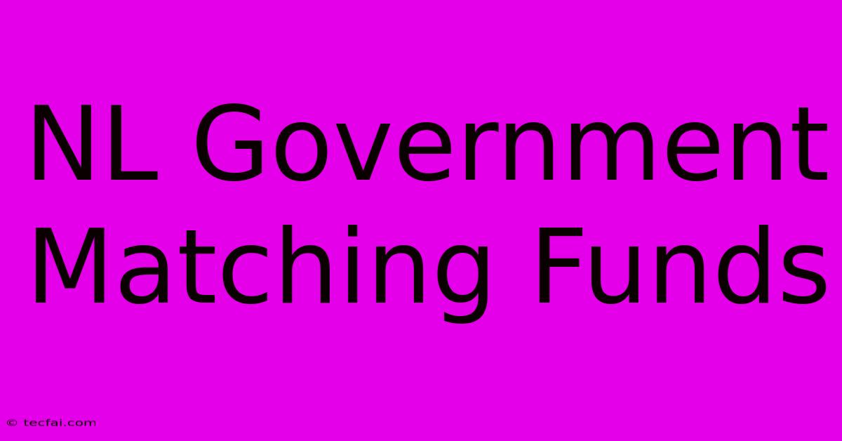 NL Government Matching Funds