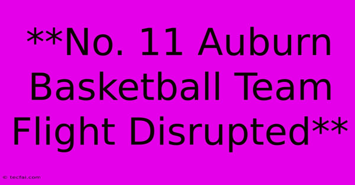 **No. 11 Auburn Basketball Team Flight Disrupted** 