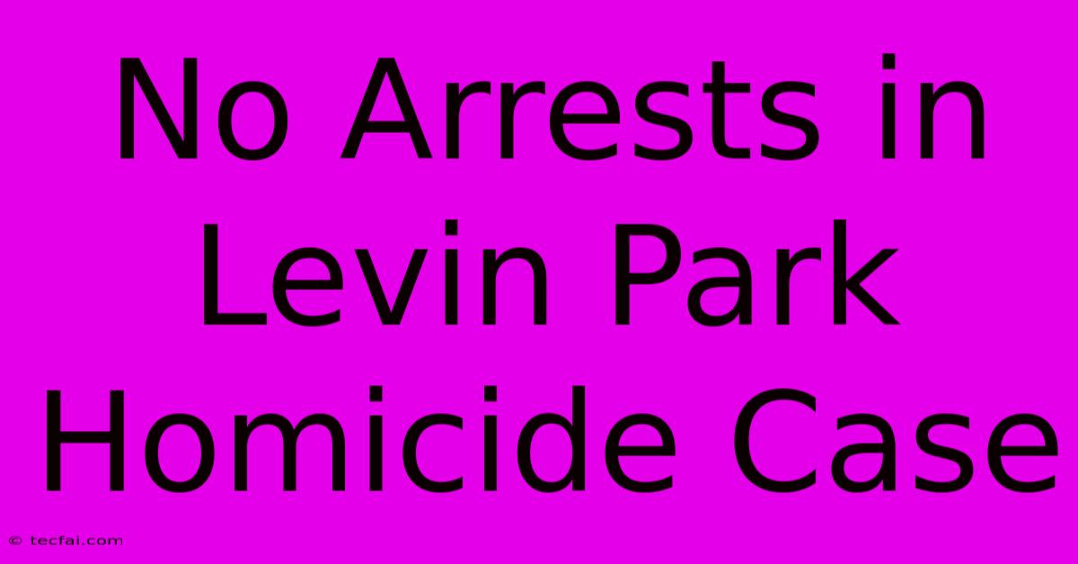 No Arrests In Levin Park Homicide Case