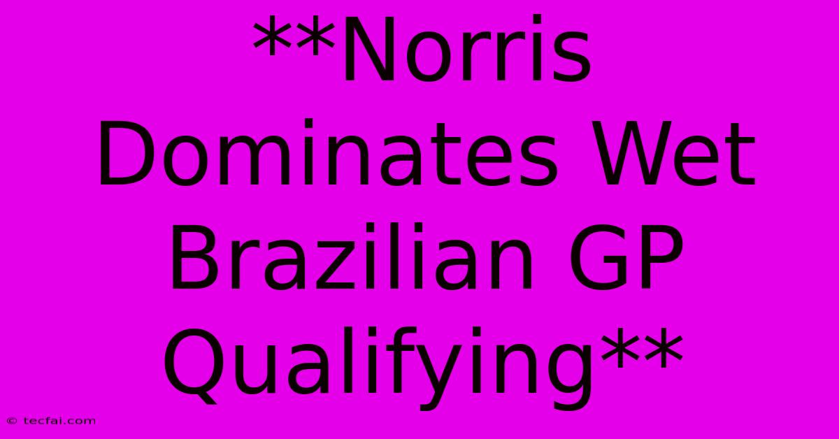 **Norris Dominates Wet Brazilian GP Qualifying**