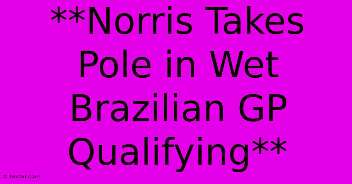 **Norris Takes Pole In Wet Brazilian GP Qualifying**