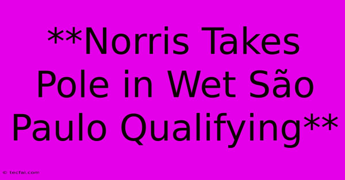 **Norris Takes Pole In Wet São Paulo Qualifying** 