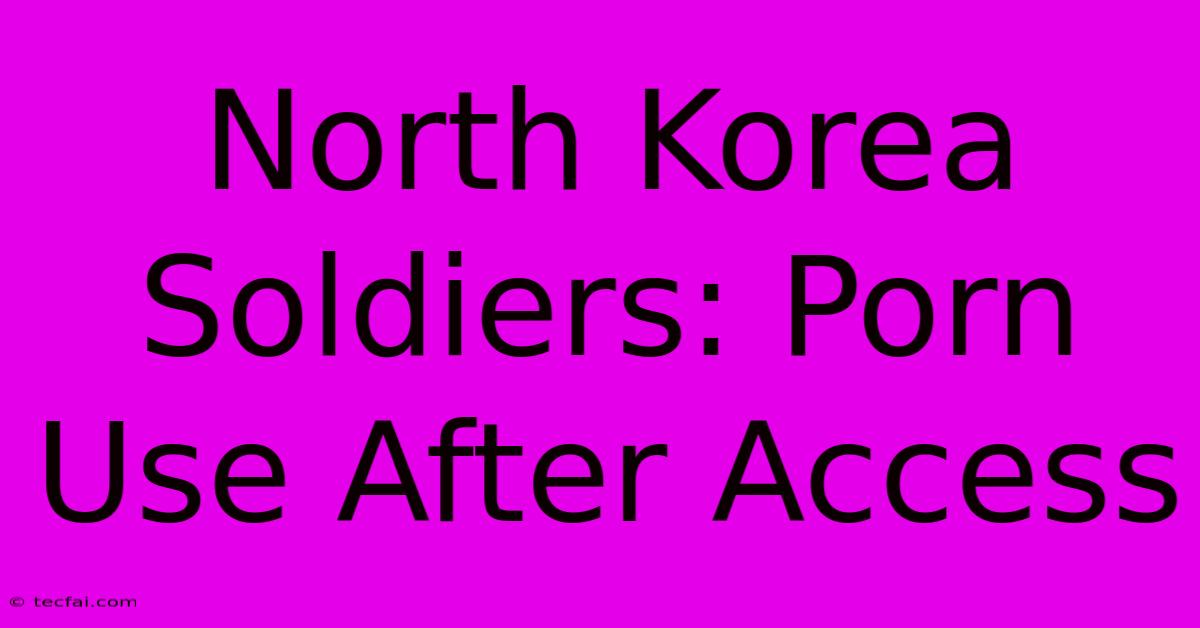 North Korea Soldiers: Porn Use After Access