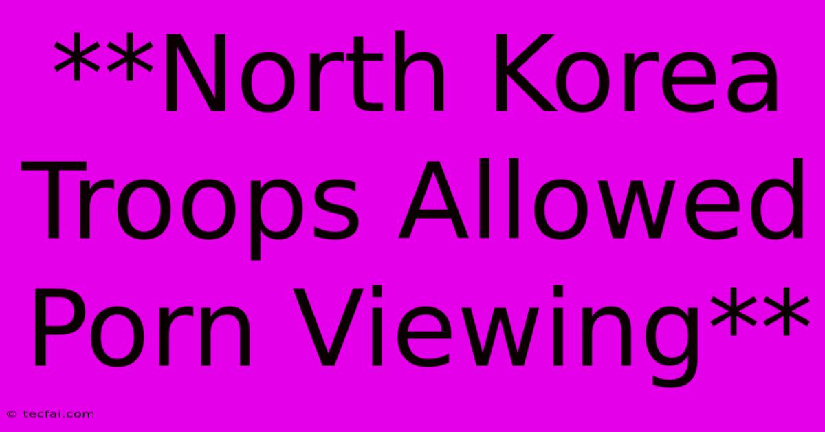 **North Korea Troops Allowed Porn Viewing**