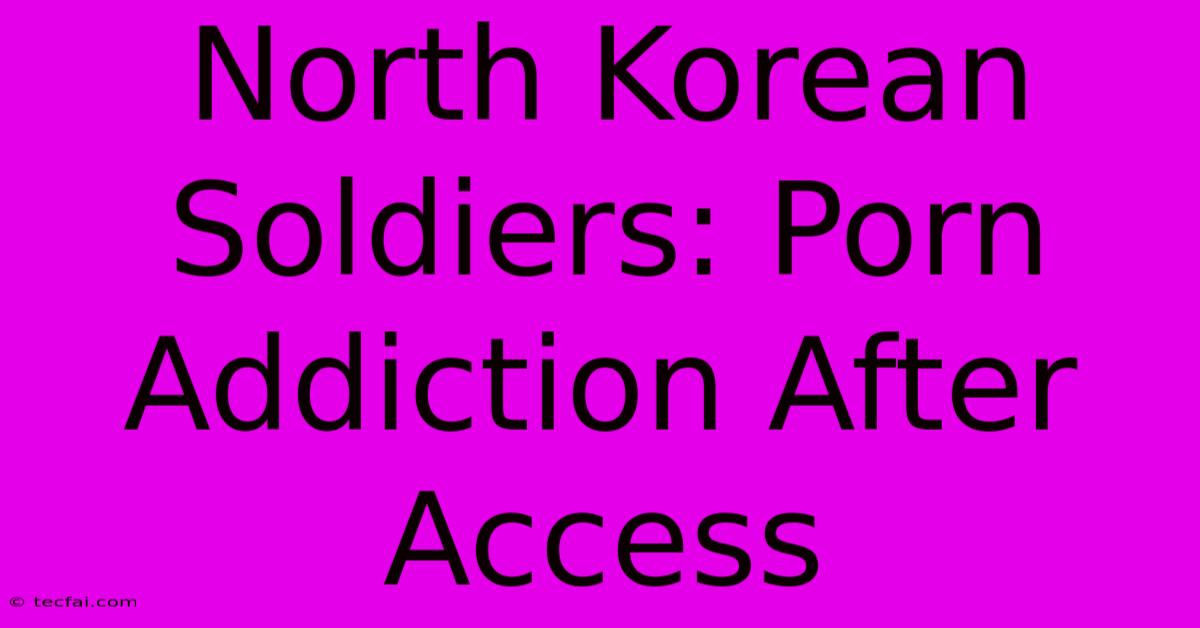 North Korean Soldiers: Porn Addiction After Access