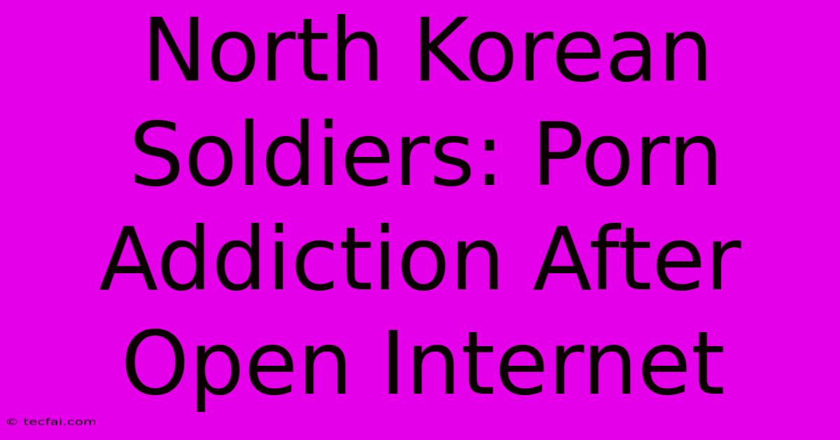 North Korean Soldiers: Porn Addiction After Open Internet 