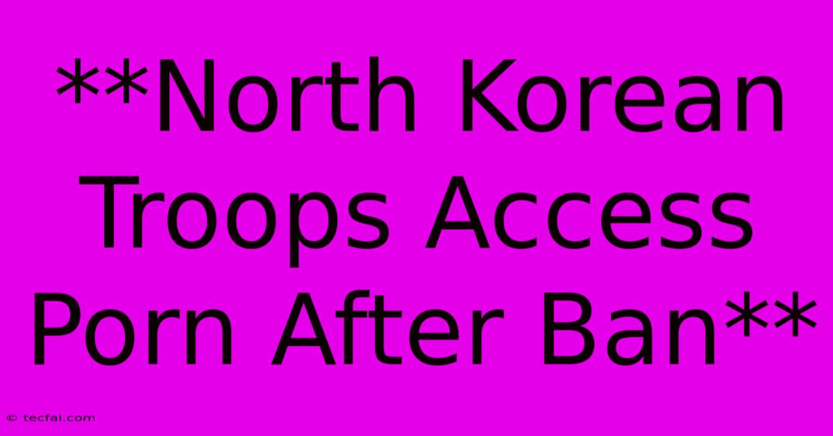 **North Korean Troops Access Porn After Ban**