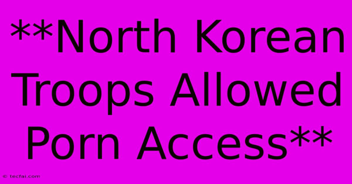 **North Korean Troops Allowed Porn Access** 