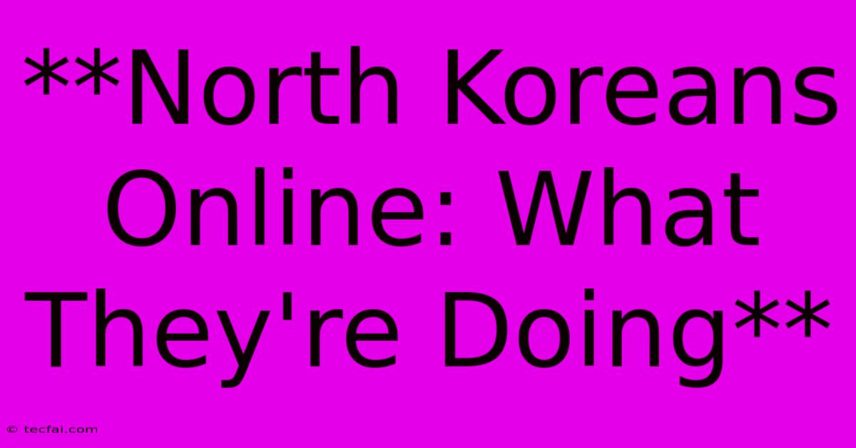 **North Koreans Online: What They're Doing**