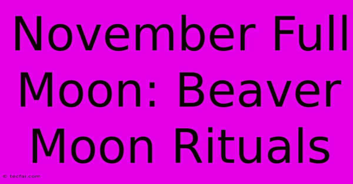 November Full Moon: Beaver Moon Rituals