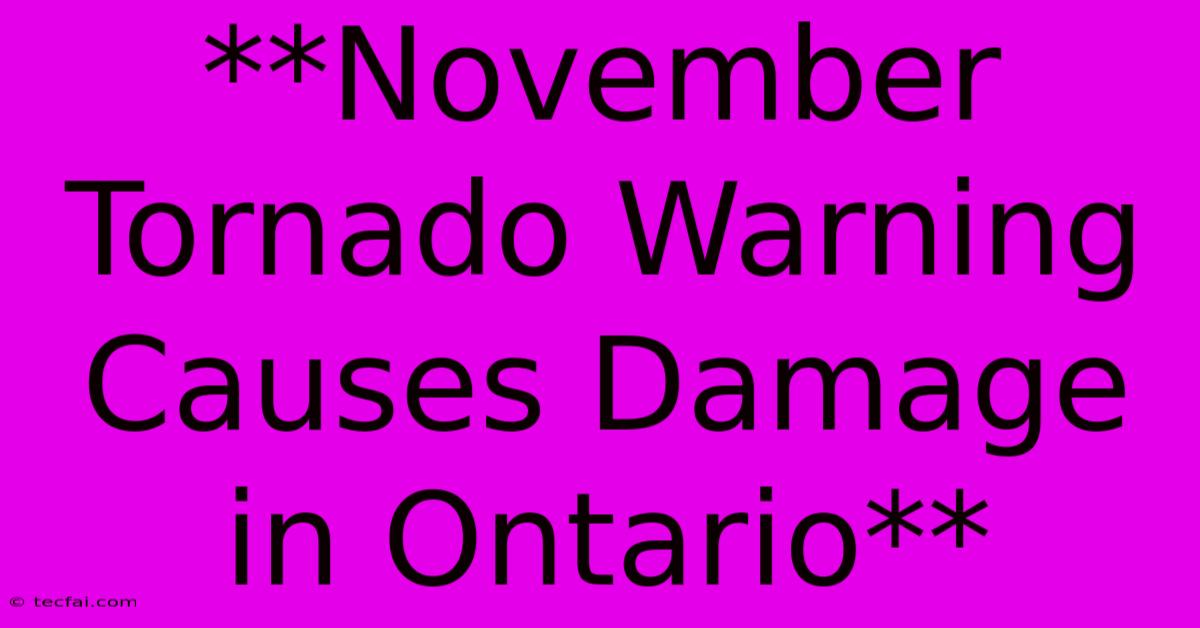 **November Tornado Warning Causes Damage In Ontario**