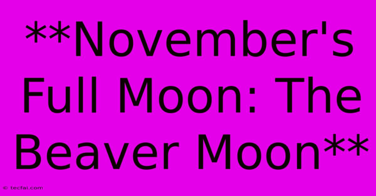 **November's Full Moon: The Beaver Moon**