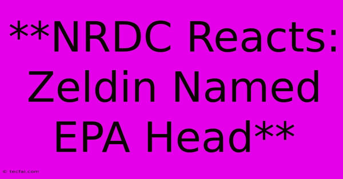 **NRDC Reacts: Zeldin Named EPA Head** 