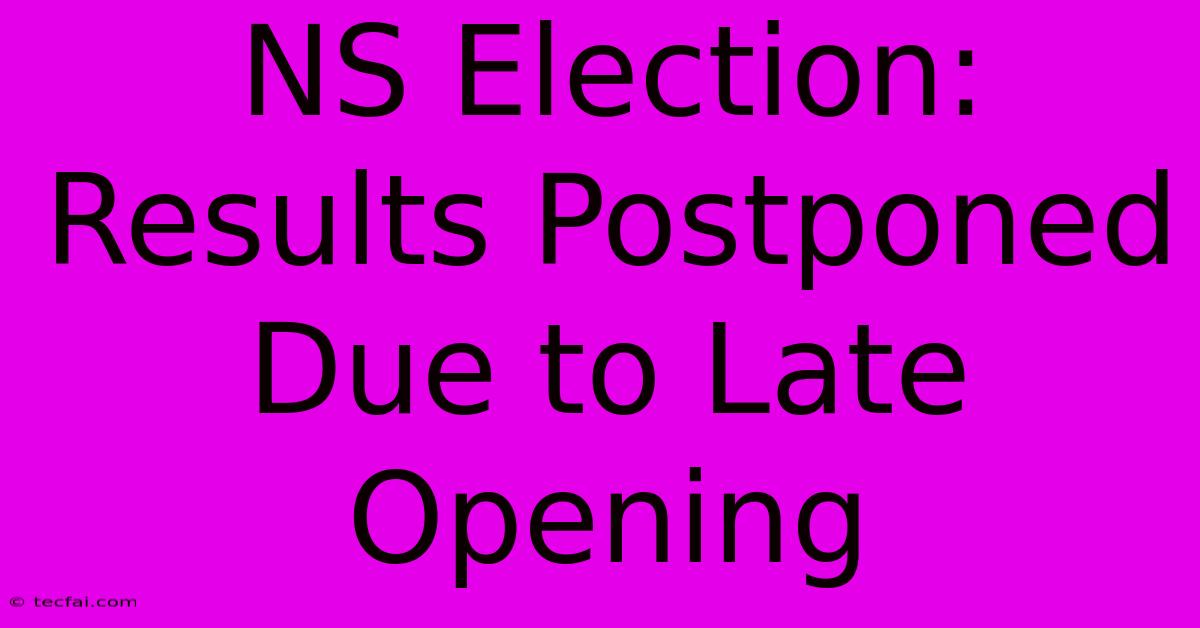 NS Election: Results Postponed Due To Late Opening