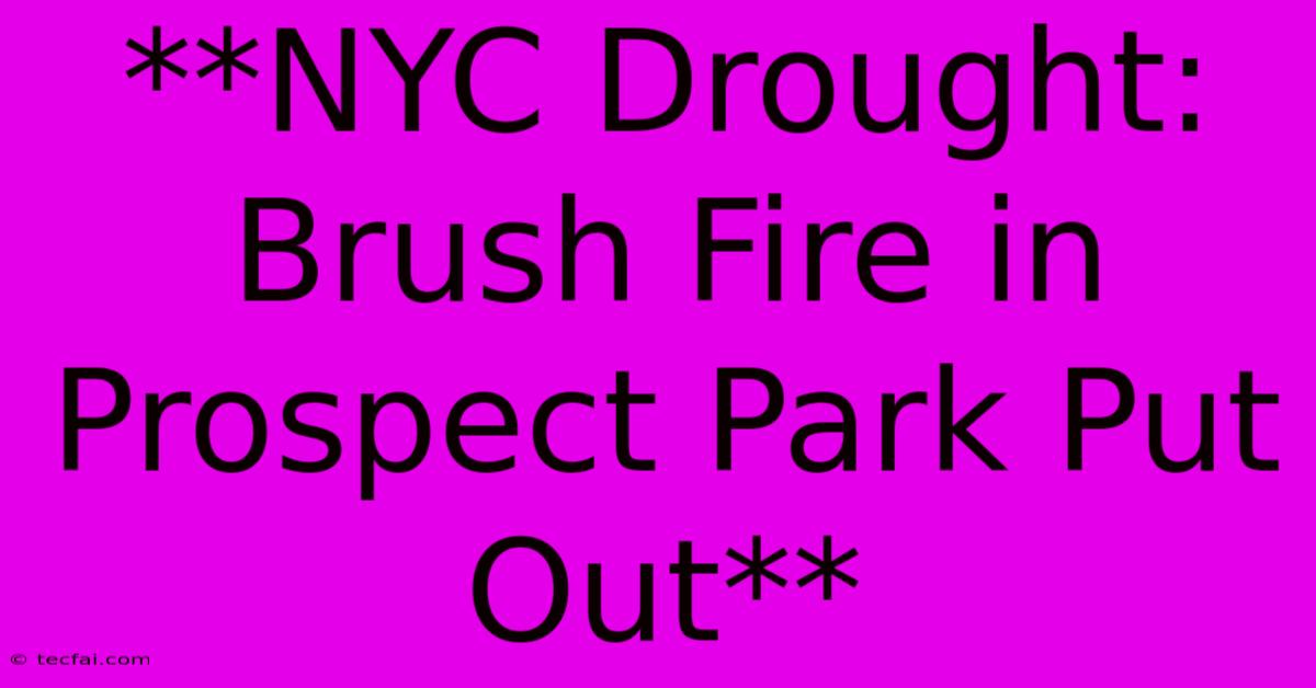 **NYC Drought: Brush Fire In Prospect Park Put Out**