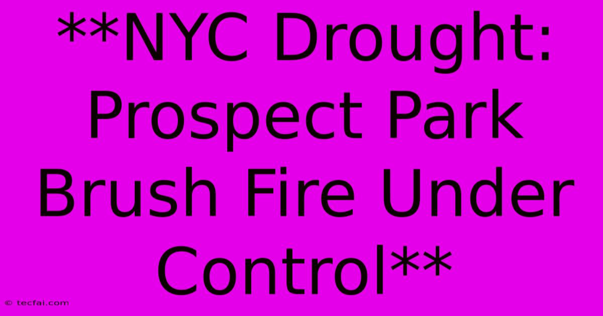 **NYC Drought: Prospect Park Brush Fire Under Control**