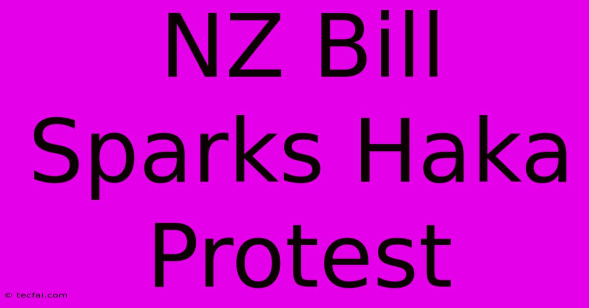 NZ Bill Sparks Haka Protest