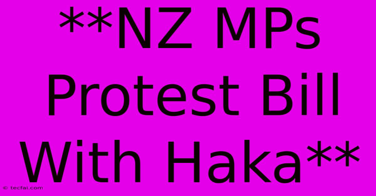 **NZ MPs Protest Bill With Haka**