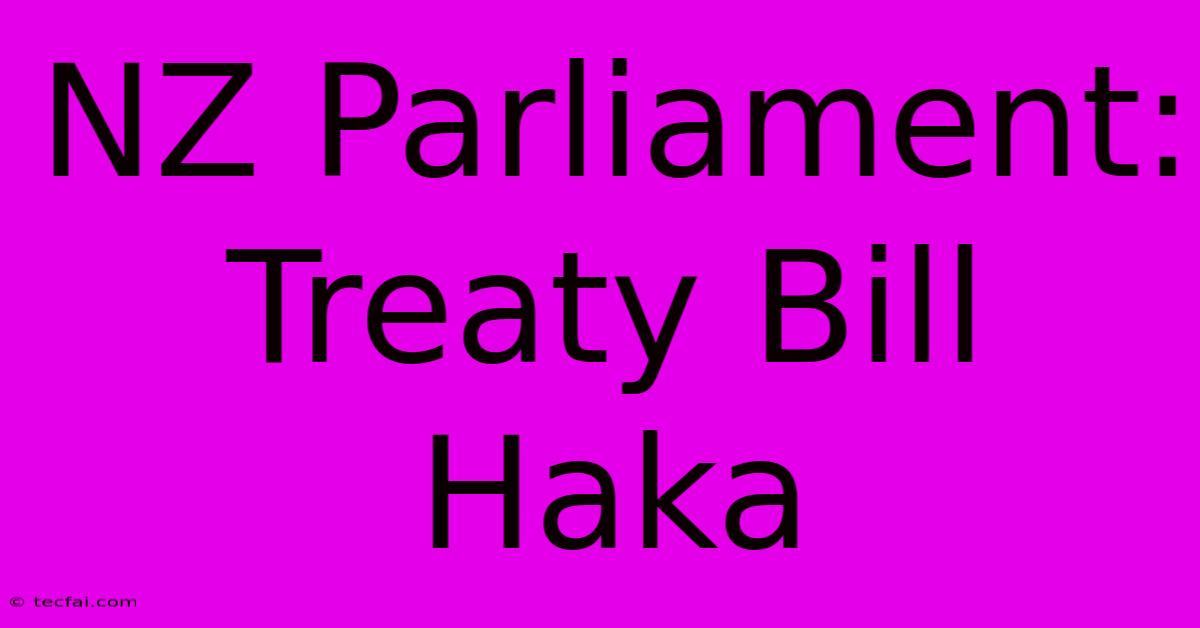 NZ Parliament: Treaty Bill Haka