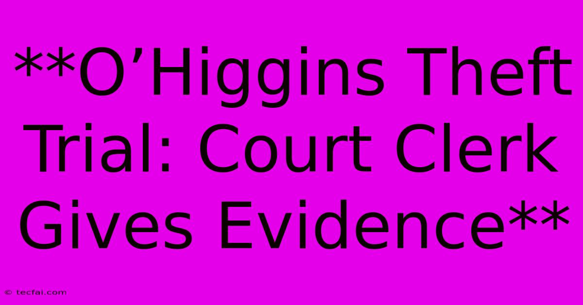 **O’Higgins Theft Trial: Court Clerk Gives Evidence**