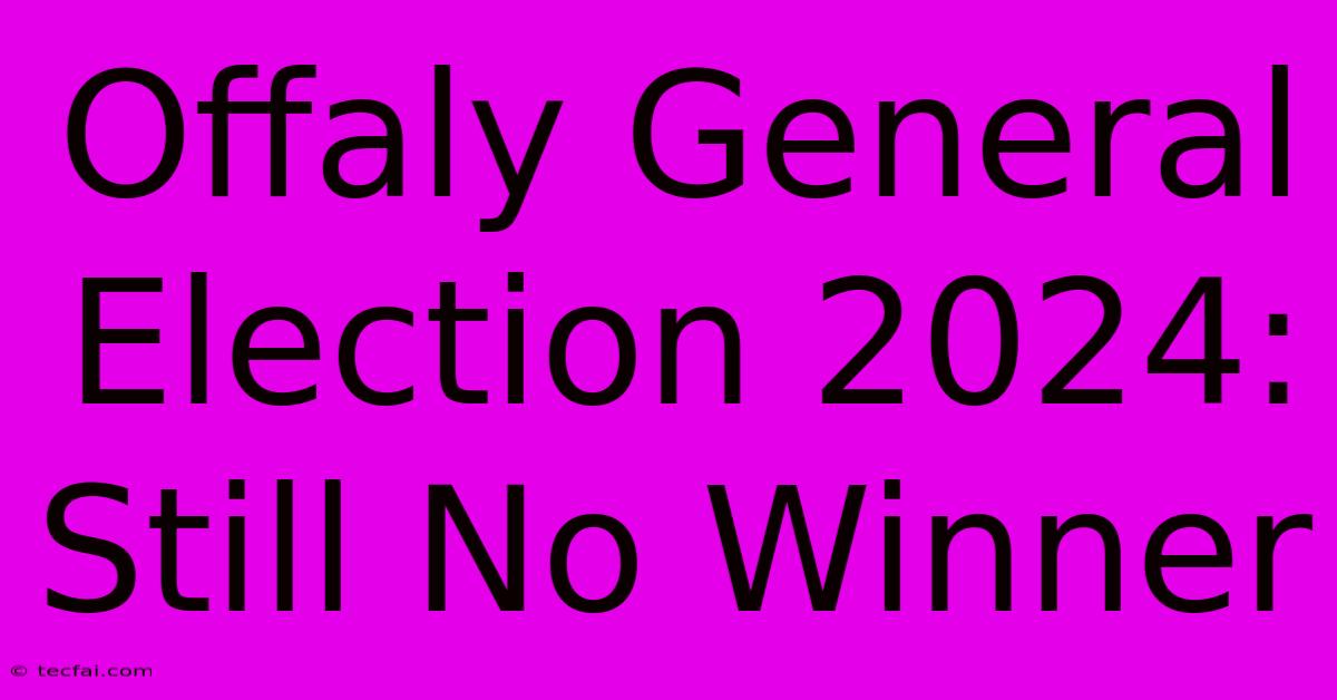 Offaly General Election 2024: Still No Winner