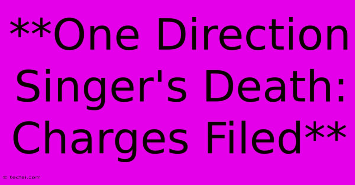 **One Direction Singer's Death: Charges Filed**