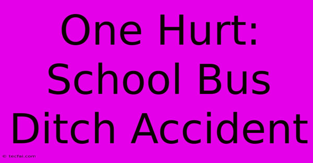 One Hurt: School Bus Ditch Accident