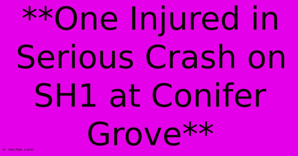 **One Injured In Serious Crash On SH1 At Conifer Grove** 