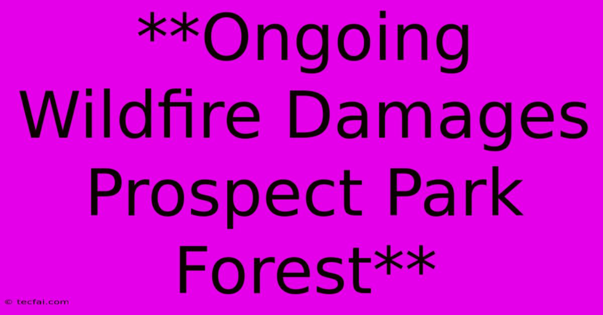 **Ongoing Wildfire Damages Prospect Park Forest**