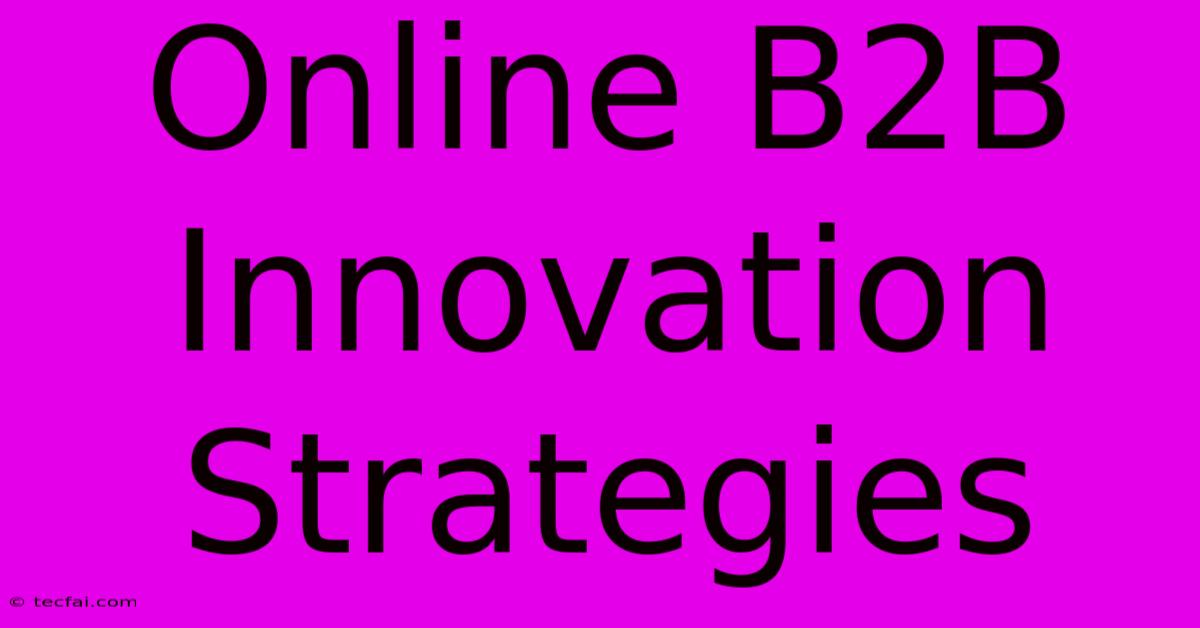 Online B2B Innovation Strategies