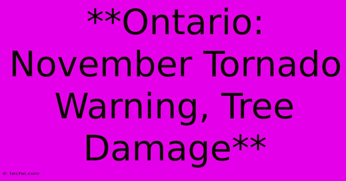 **Ontario: November Tornado Warning, Tree Damage** 