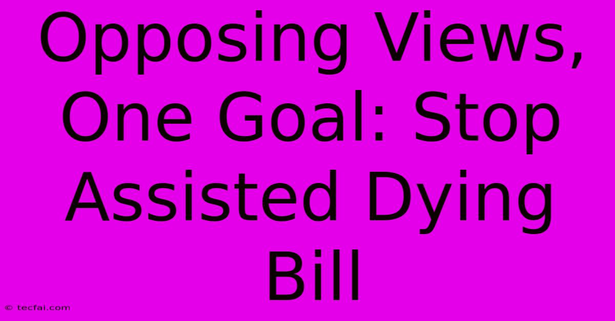 Opposing Views, One Goal: Stop Assisted Dying Bill