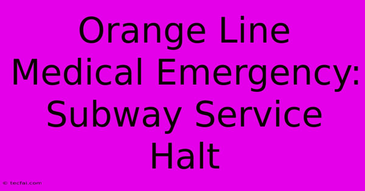 Orange Line Medical Emergency: Subway Service Halt