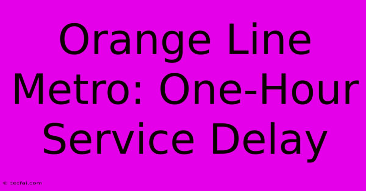 Orange Line Metro: One-Hour Service Delay