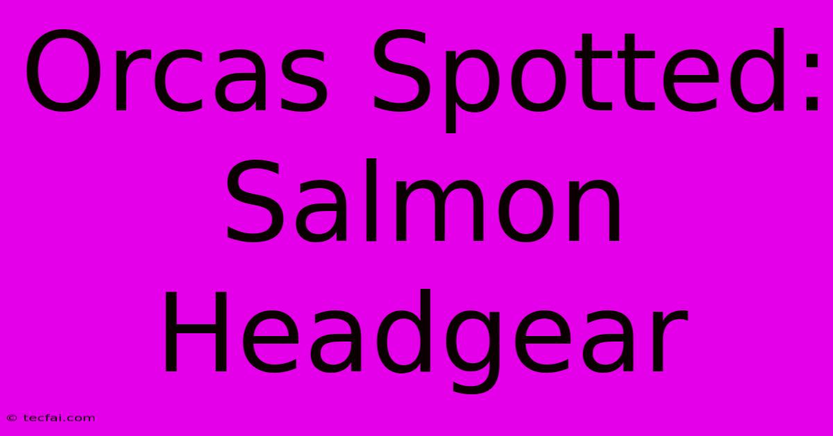 Orcas Spotted: Salmon Headgear