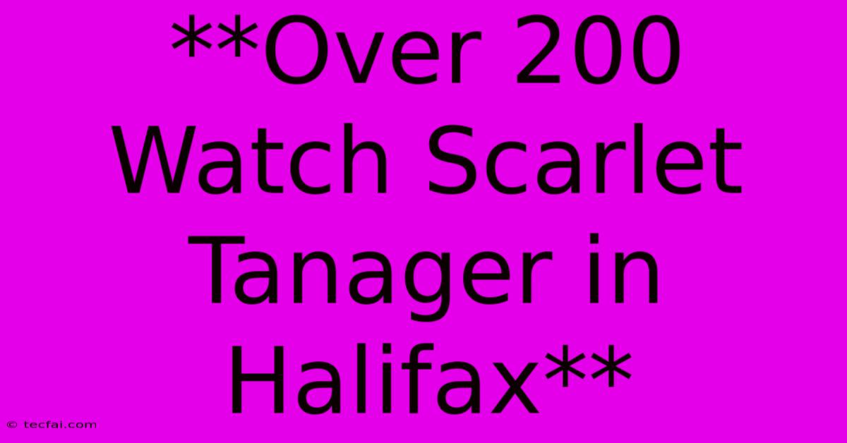 **Over 200 Watch Scarlet Tanager In Halifax**