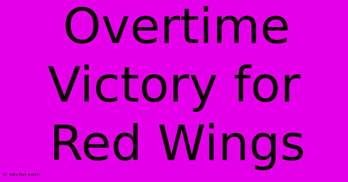 Overtime Victory For Red Wings