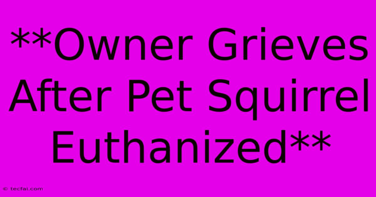 **Owner Grieves After Pet Squirrel Euthanized** 