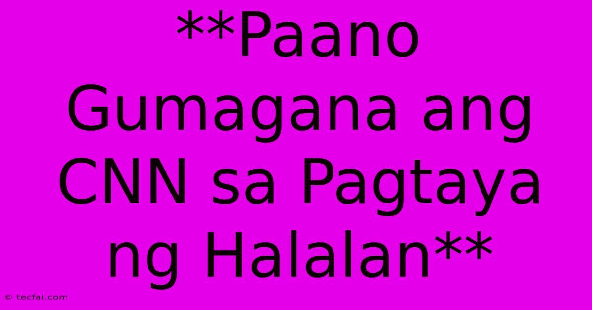 **Paano Gumagana Ang CNN Sa Pagtaya Ng Halalan** 