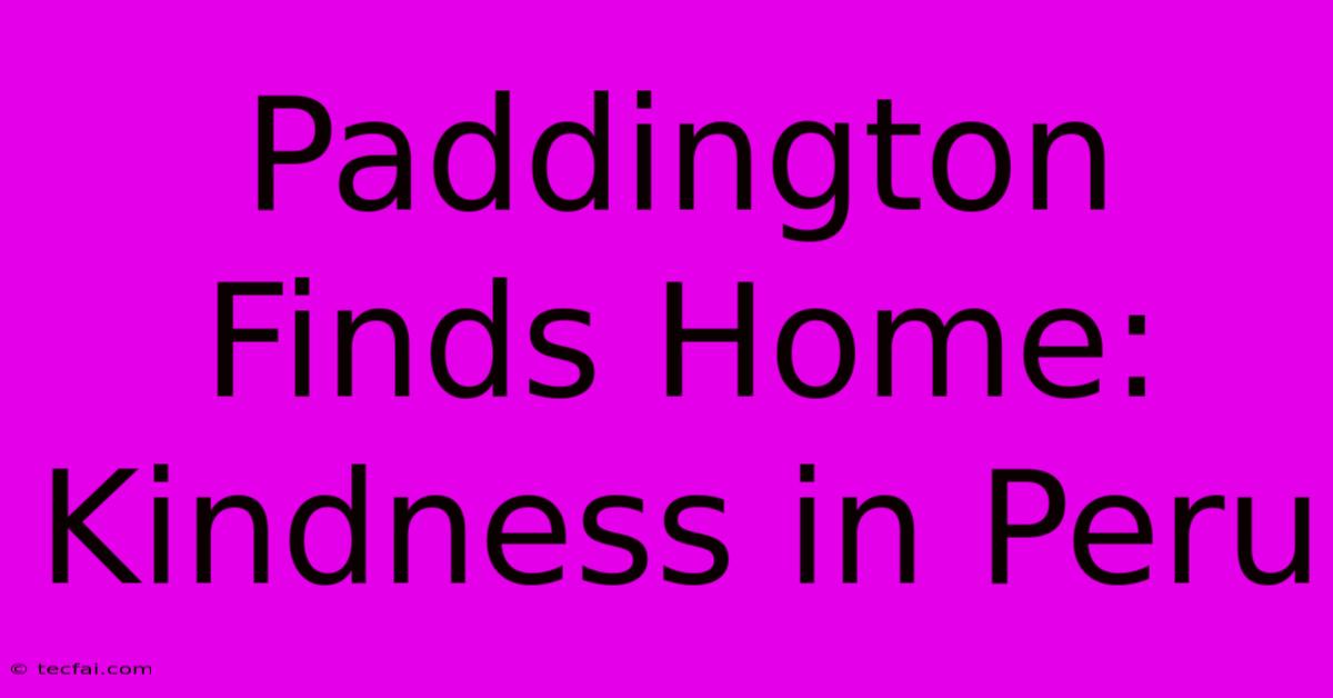 Paddington Finds Home: Kindness In Peru 