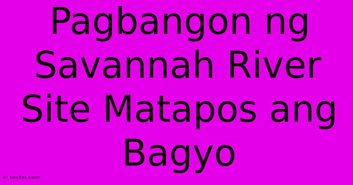 Pagbangon Ng Savannah River Site Matapos Ang Bagyo