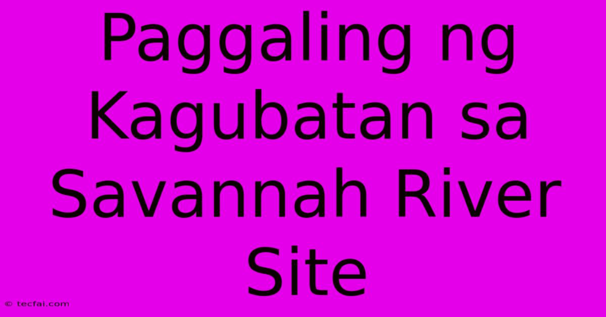 Paggaling Ng Kagubatan Sa Savannah River Site