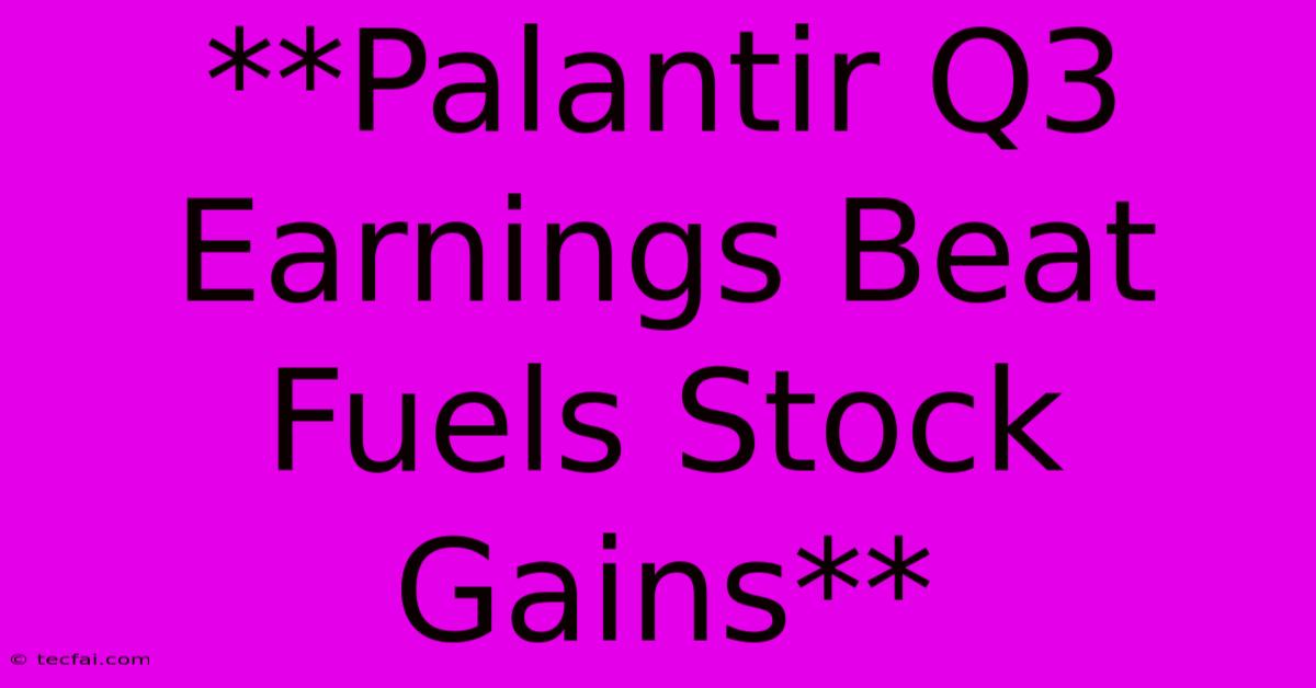 **Palantir Q3 Earnings Beat Fuels Stock Gains**