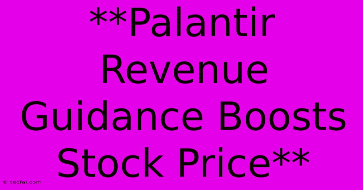 **Palantir Revenue Guidance Boosts Stock Price** 