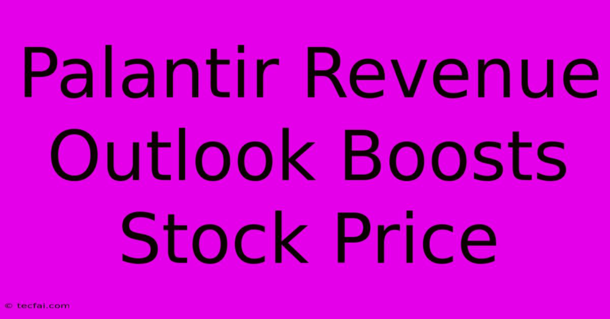 Palantir Revenue Outlook Boosts Stock Price