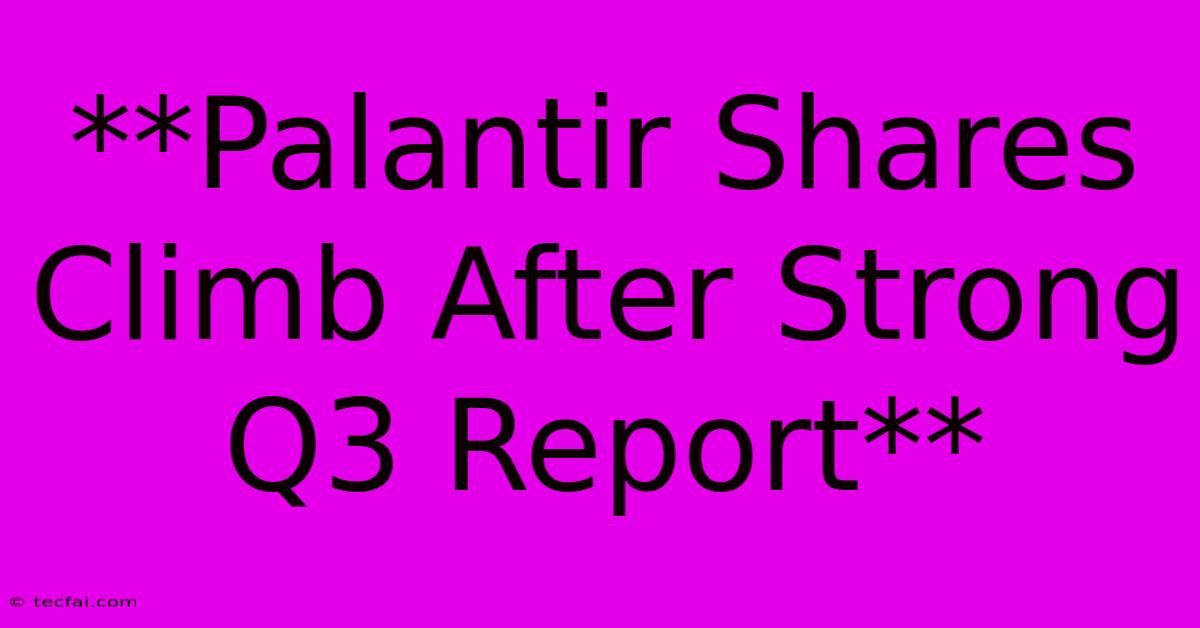 **Palantir Shares Climb After Strong Q3 Report**