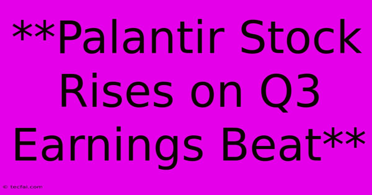 **Palantir Stock Rises On Q3 Earnings Beat**