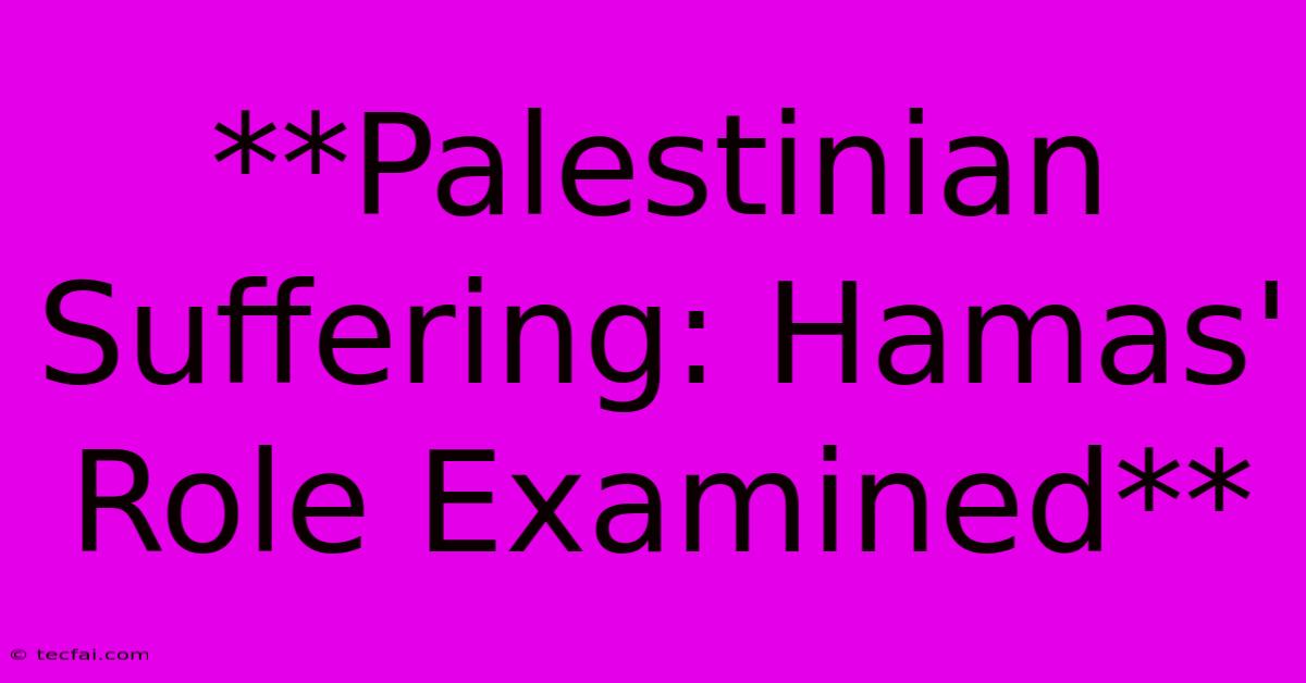 **Palestinian Suffering: Hamas' Role Examined** 