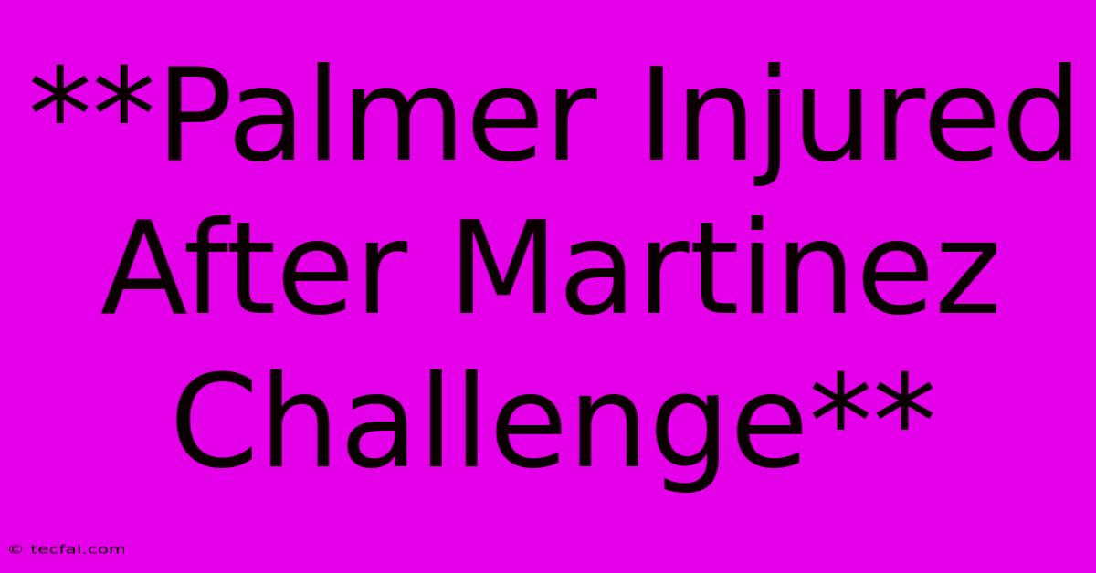 **Palmer Injured After Martinez Challenge**